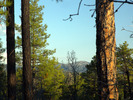 photo thumbnail #3