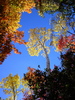photo thumbnail #14