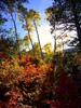 photo thumbnail #15