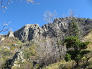 photo thumbnail #14