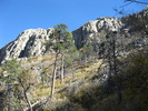 photo thumbnail #15