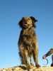 photo thumbnail #8
