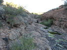 photo thumbnail #2