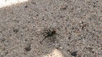 photo thumbnail #5