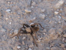 photo thumbnail #14