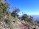 photo thumbnail #6