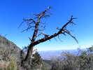 photo thumbnail #7