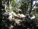 photo thumbnail #9