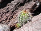 photo thumbnail #13
