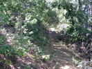 photo thumbnail #15
