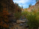 photo thumbnail #2