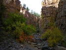 photo thumbnail #5