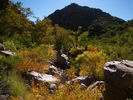 photo thumbnail #12