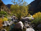 photo thumbnail #13
