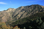photo thumbnail #7