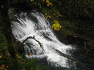 photo thumbnail #9