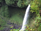 photo thumbnail #11