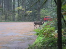 photo thumbnail #13