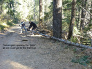 photo thumbnail #4