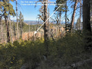 photo thumbnail #11
