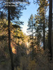 photo thumbnail #12