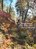 photo thumbnail #15