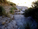 photo thumbnail #8