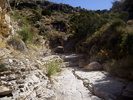 photo thumbnail #14