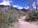 photo thumbnail #1