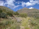 photo thumbnail #5