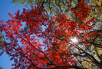 photo thumbnail #14
