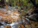 photo thumbnail #10