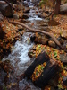 photo thumbnail #12