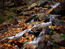 photo thumbnail #13