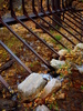 photo thumbnail #14