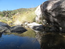 photo thumbnail #8