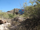 photo thumbnail #10