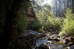 photo thumbnail #7