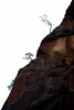 photo thumbnail #15