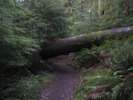 photo thumbnail #11