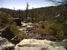 photo thumbnail #3