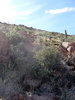 photo thumbnail #7