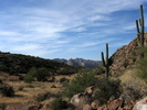 photo thumbnail #15