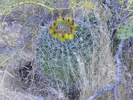 photo thumbnail #2