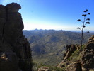 photo thumbnail #12