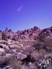 photo thumbnail #2
