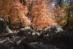 photo thumbnail #12