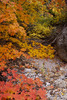 photo thumbnail #15