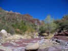 photo thumbnail #10