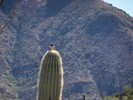 photo thumbnail #11